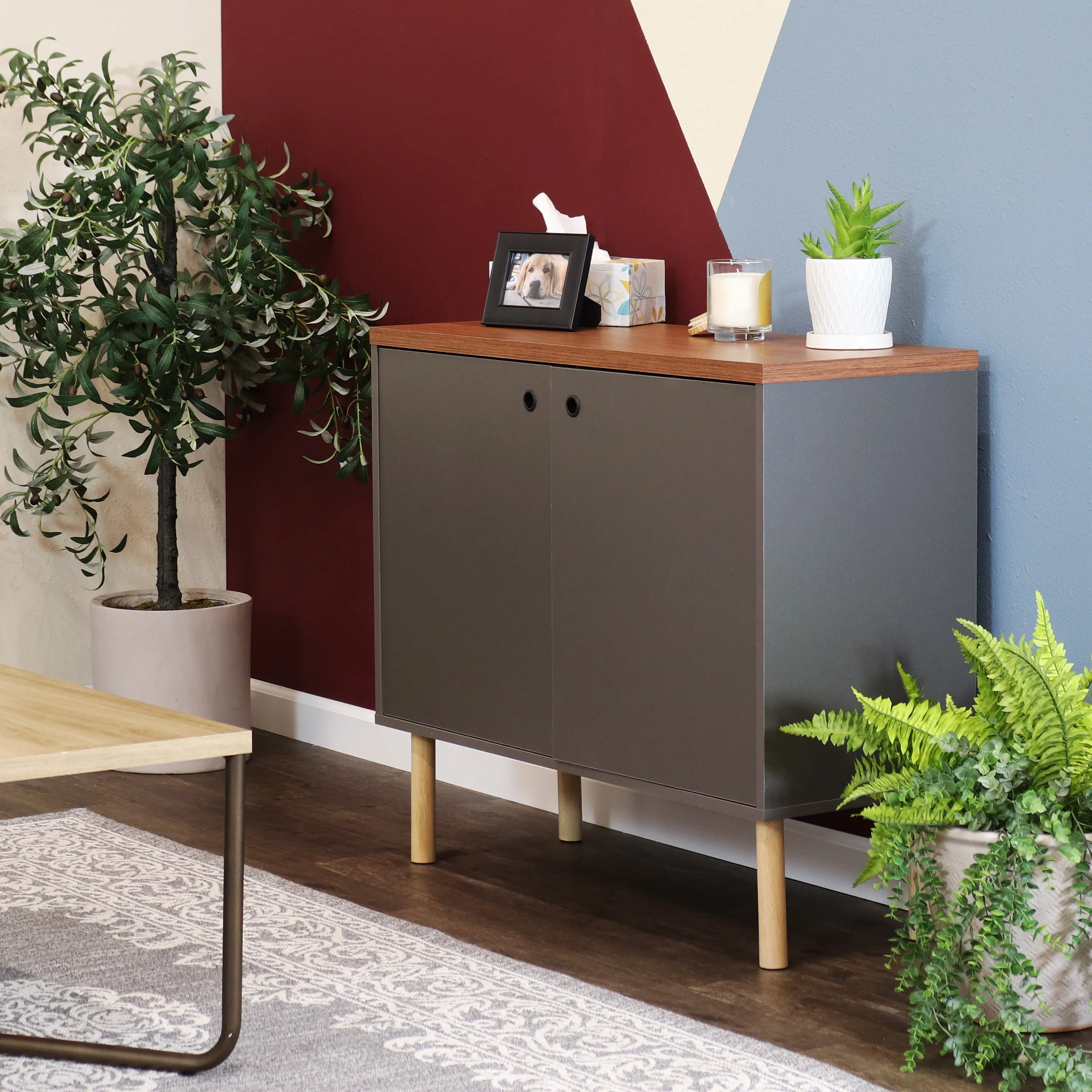 Sunnydaze Mid-Century Modern 2-Door Accent Cabinet with Shelves